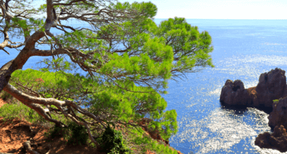 LA CÔTE D’AZUR CÔTÉ NATURE