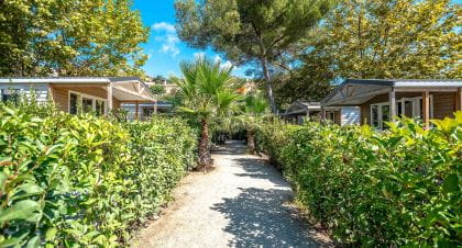 Le Camping Azur Rivage ouvre ses portes : découvrez le paradis de la Côte d’Azur