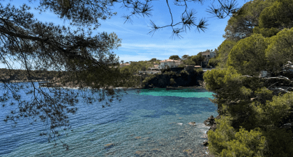 Août au Camping Azur Rivage : l’été se vit au grand air